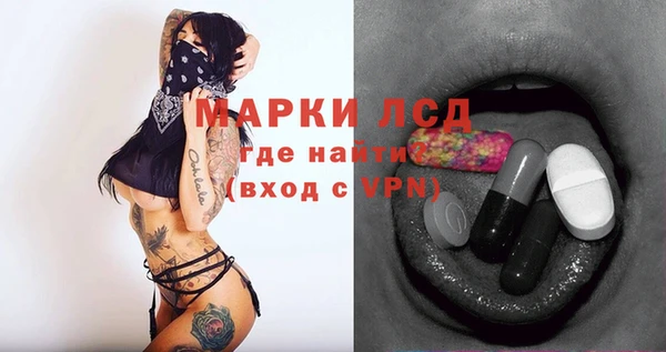 ECSTASY Заполярный