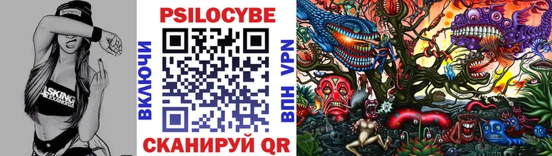 OMG ссылки  Дальнегорск  Псилоцибиновые грибы мицелий  купить наркоту 